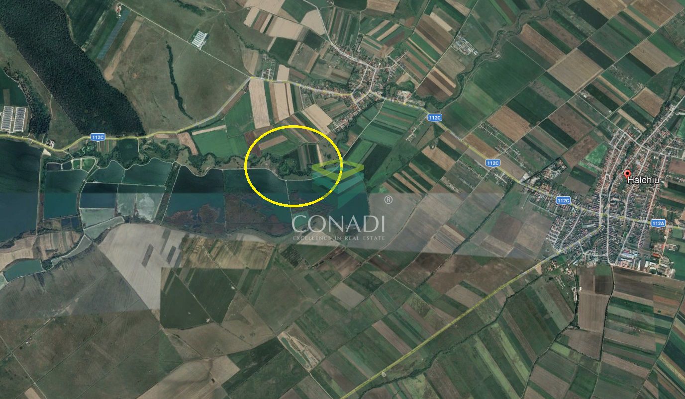 Land for sale 10,000 sqm. - Halchiu/Brasov area