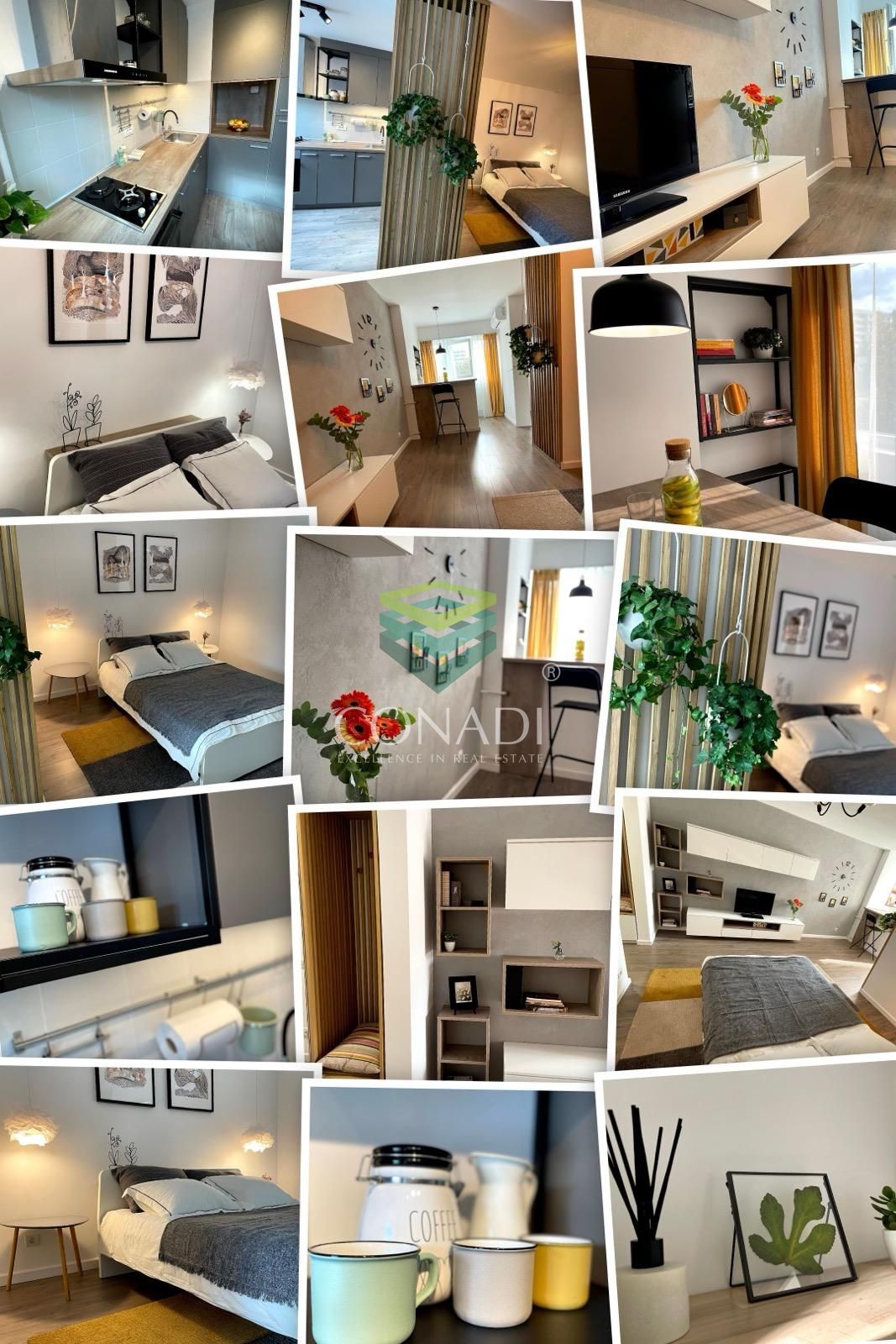 We are renting an ultramodern renovated studio on Nada Florilor street - Teiul Domnei